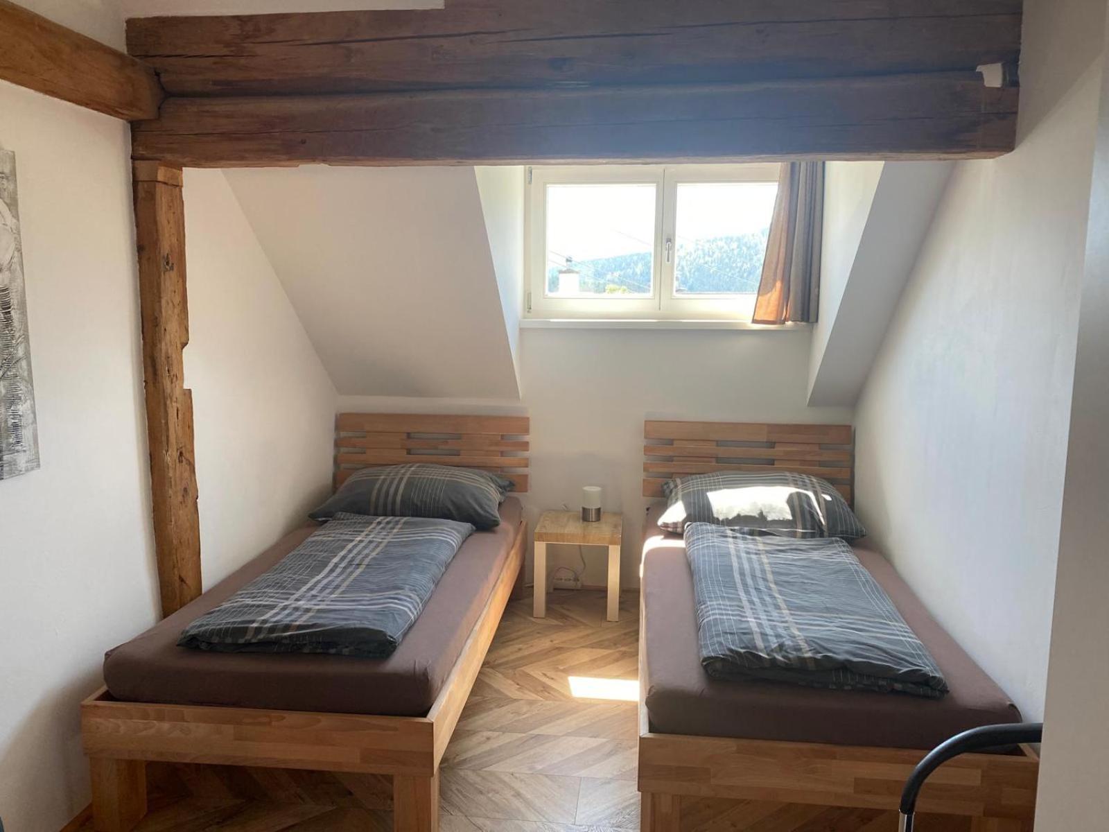 Haus Kampl - Appartement Aussee Бад Митерндорф Екстериор снимка